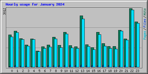 Hourly usage for January 2024